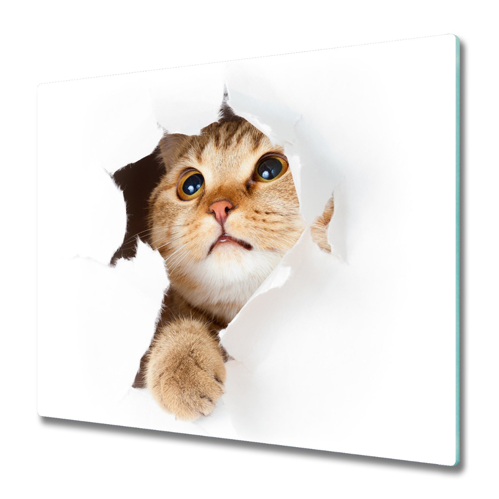 Főzőlap Védő Üveglap Macska jön ki a háttérből