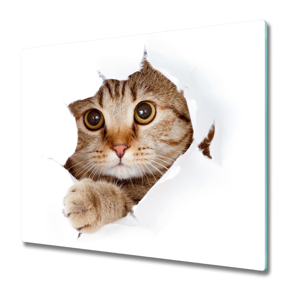 Tűzhely Fedőlap Cica jön ki a háttérből