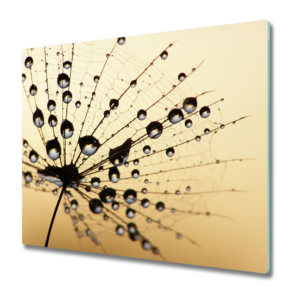 Tűzhelyvédő Üveglap Harmat a pitypang magján