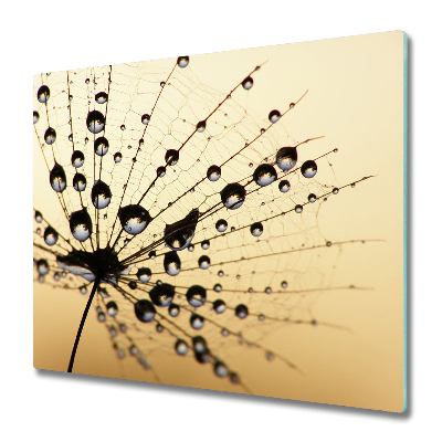 Tűzhelyvédő Üveglap Harmat a pitypang magján