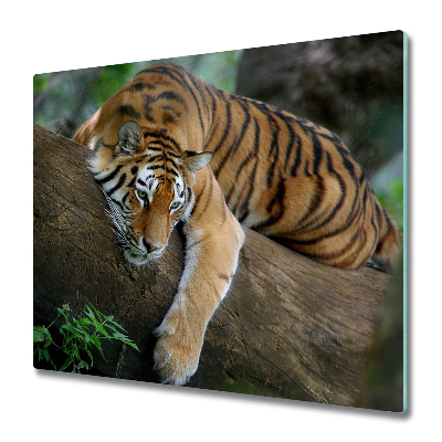 Tűzhelyvédő Üveglap Alvó tigris