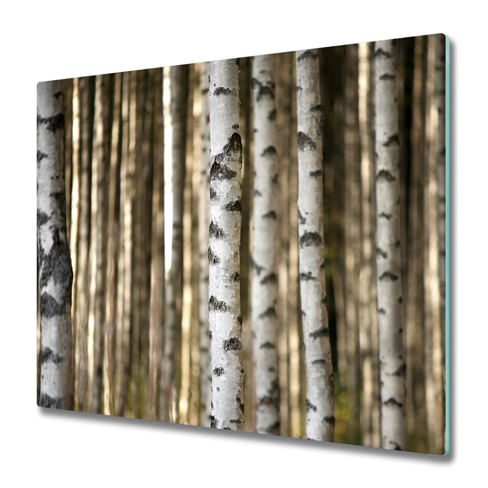 Tűzhelyvédő Közeli kép a nyírfa törzseiről