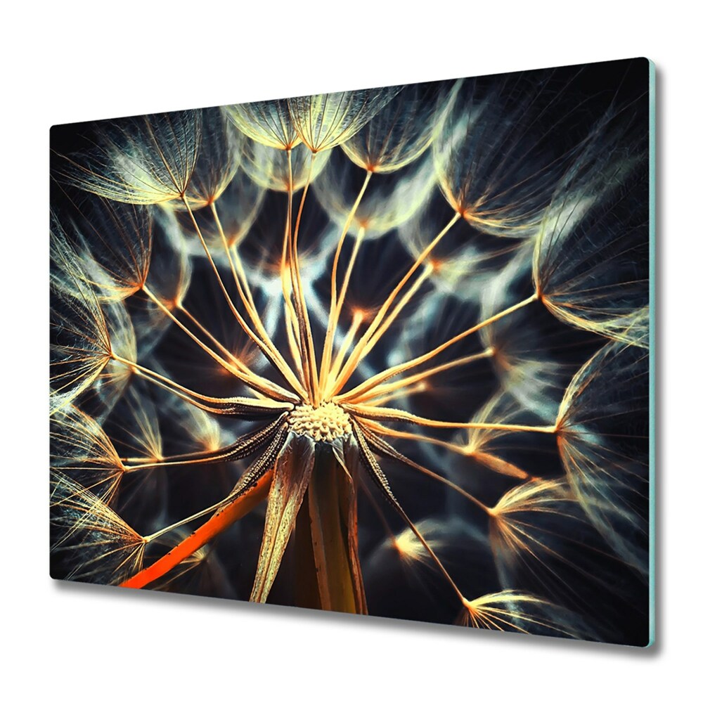 Tűzhely Védő Közeli kép a pitypangról