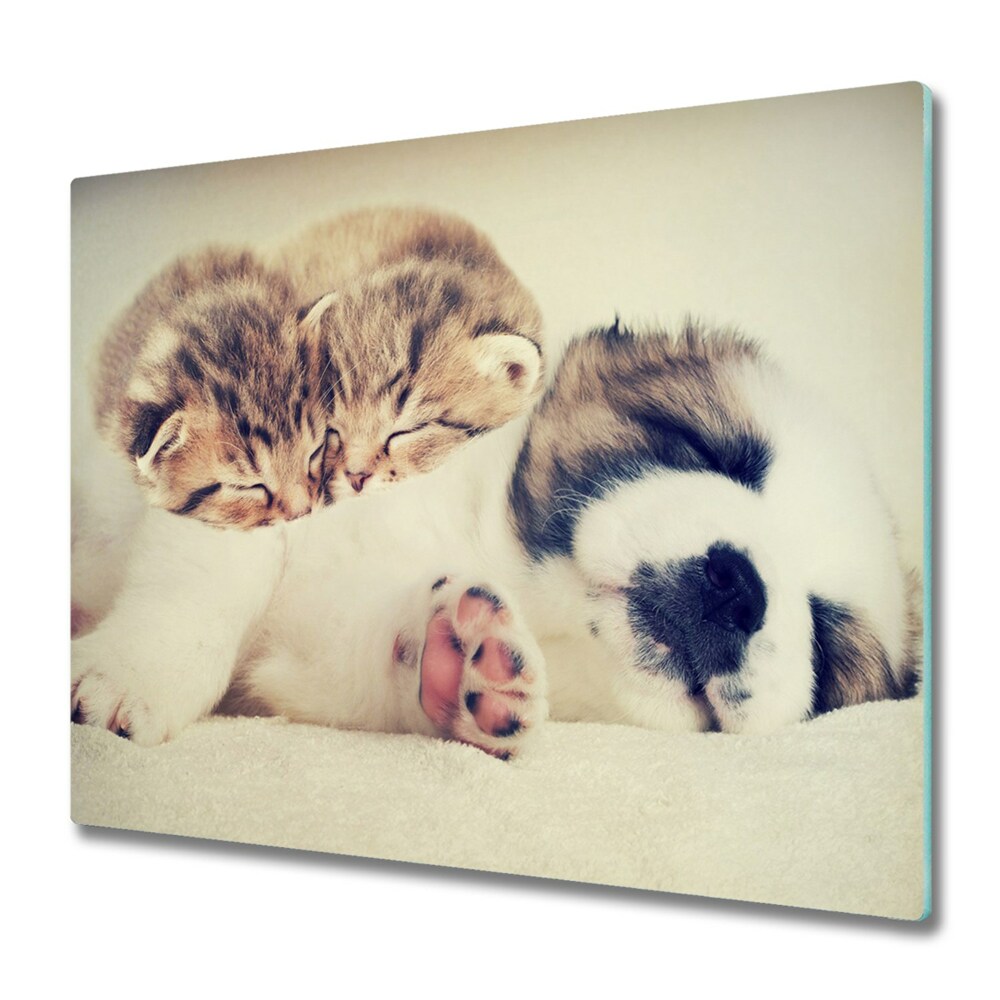 Tűzhelyvédő Kis cicák és egy kutya