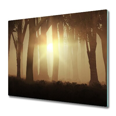 Üveg Vágódeszka Napsugarak az erdőben