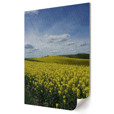 Aranymezők az ég alatt fali poszter