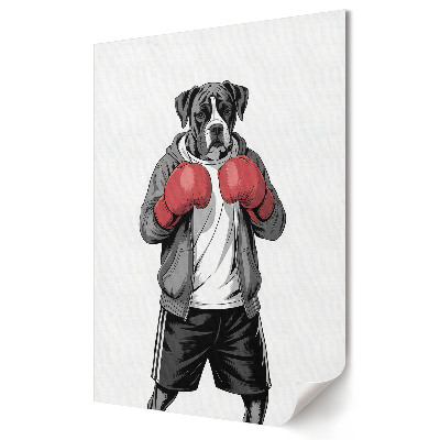 Plakát nyomtatás Boxer kutya bokszkesztyűt visel