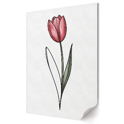 Plakát poszter Elegáns tulipán fehér alapon