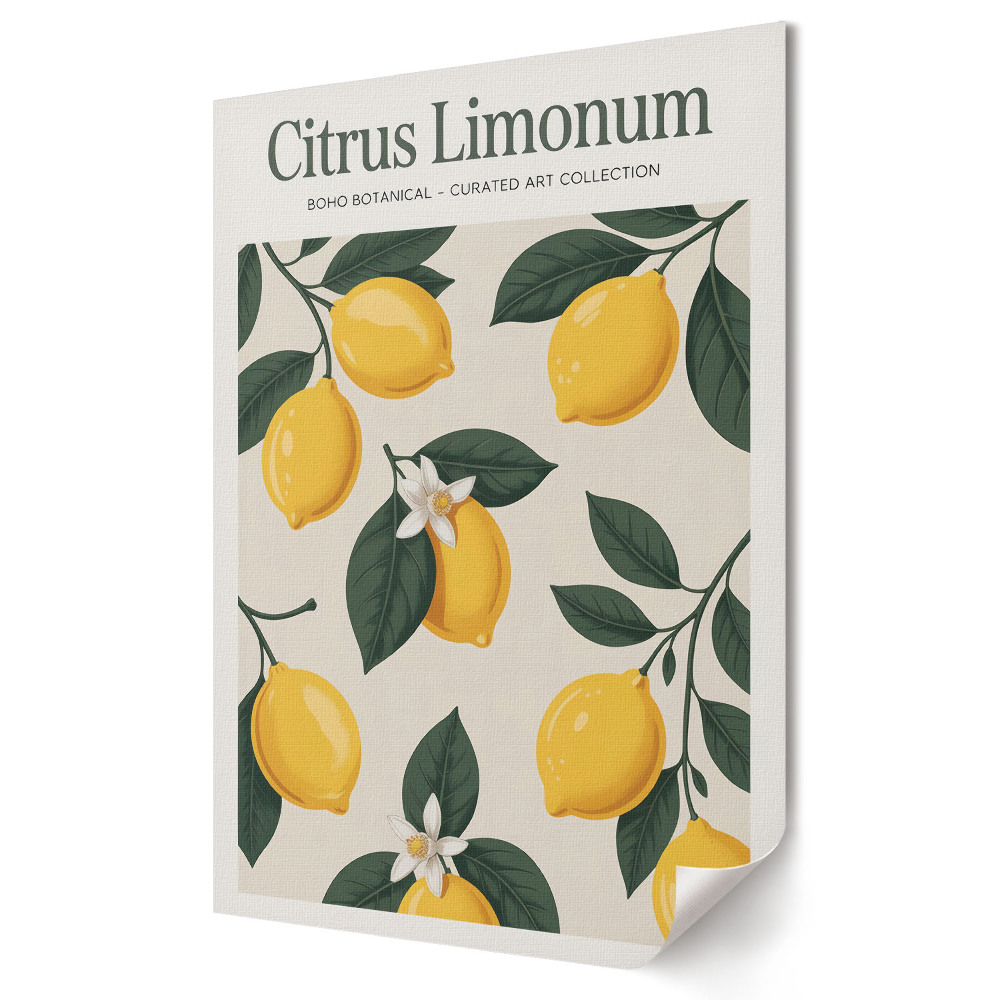 Fali poszter Bohém limonádé: Botanikai kollekció