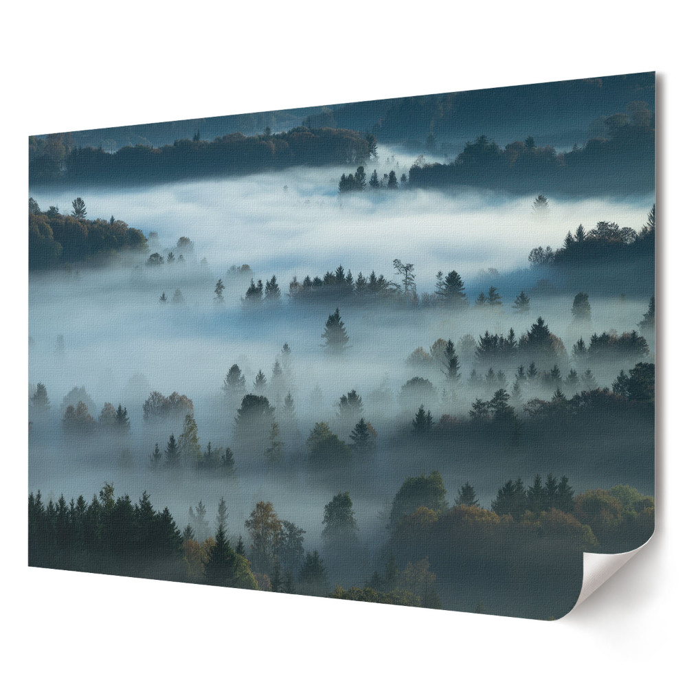 Fali poszter Ködös erdei panoráma napkeltekor