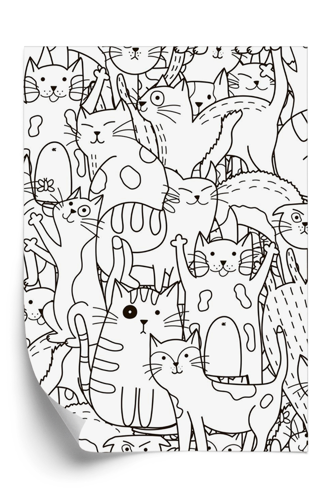 Öntapadós tapéta Fekete-fehér macskák háttér