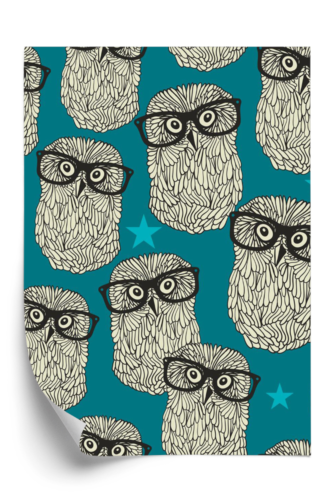 Öntapadós tapéta Csípő baglyok szemüveggel