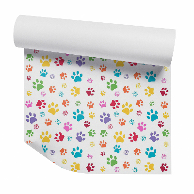 Fotótapéta falra Színes kutya mancsok absztrakció