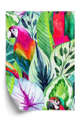 Öntapadós tapéta Papagájok és trópusi levelek