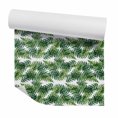 Dekor tapéta Páfránylevelek szétterítése