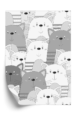 Tapéta Édes cicák