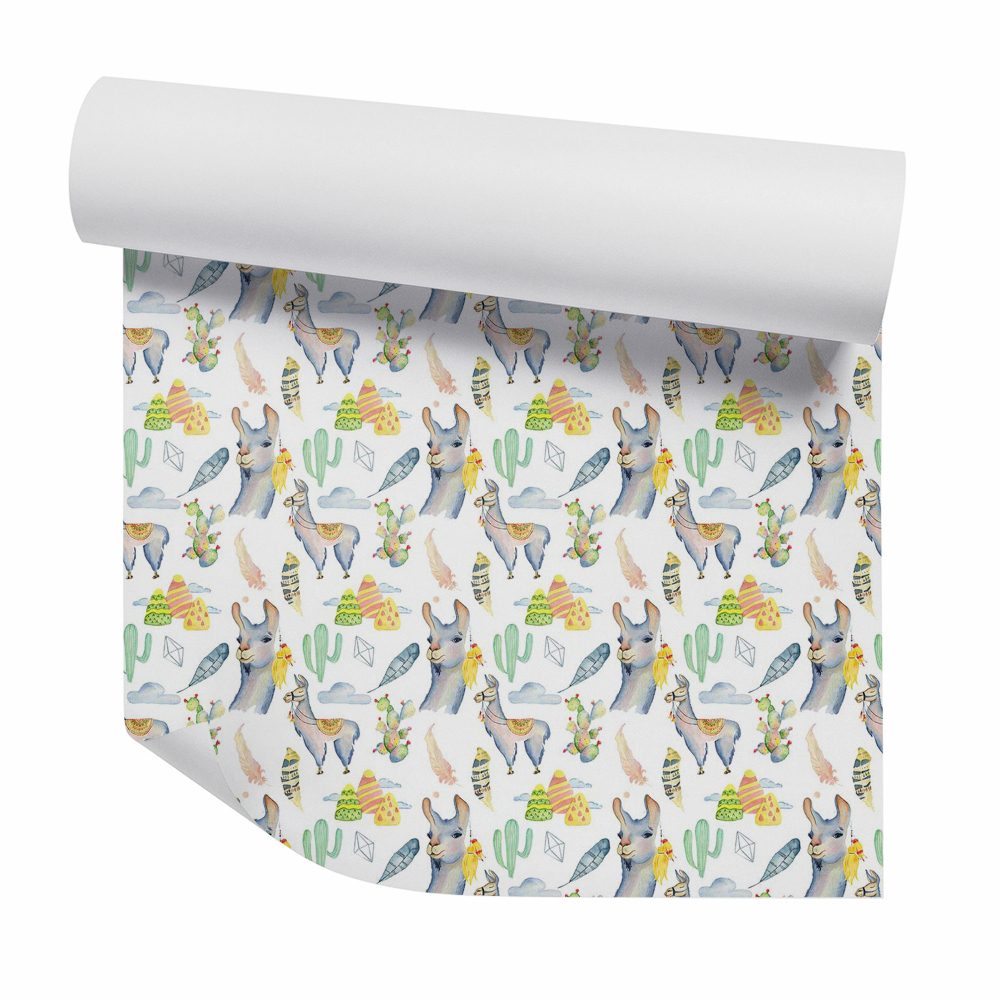 Foto tapeta Dekoratív alpaka kaktuszok felső