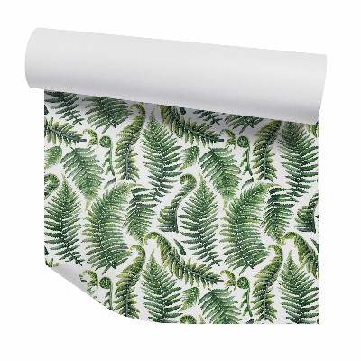 Dekor tapéta Zöld páfránylevelek