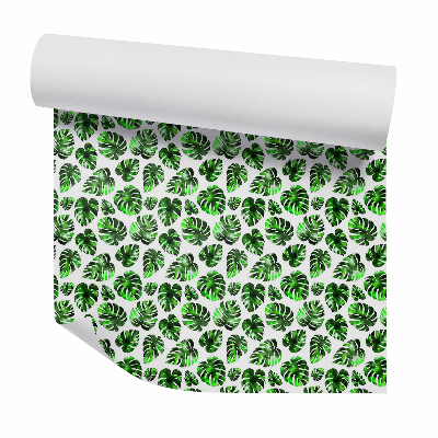 Öntapadós tapéta falra A Monstera levelei élénk színekben pompáznak