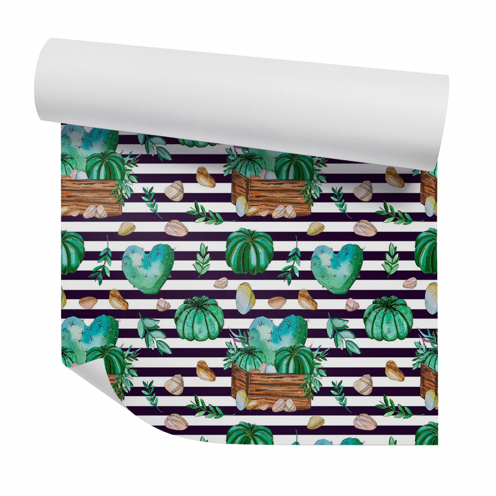 Foto tapeta Csíkos alapon kaktuszok és kavicsok