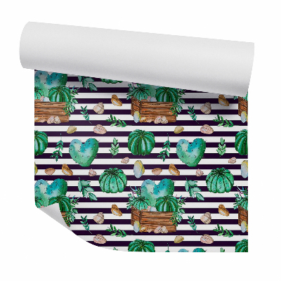 Foto tapeta Csíkos alapon kaktuszok és kavicsok