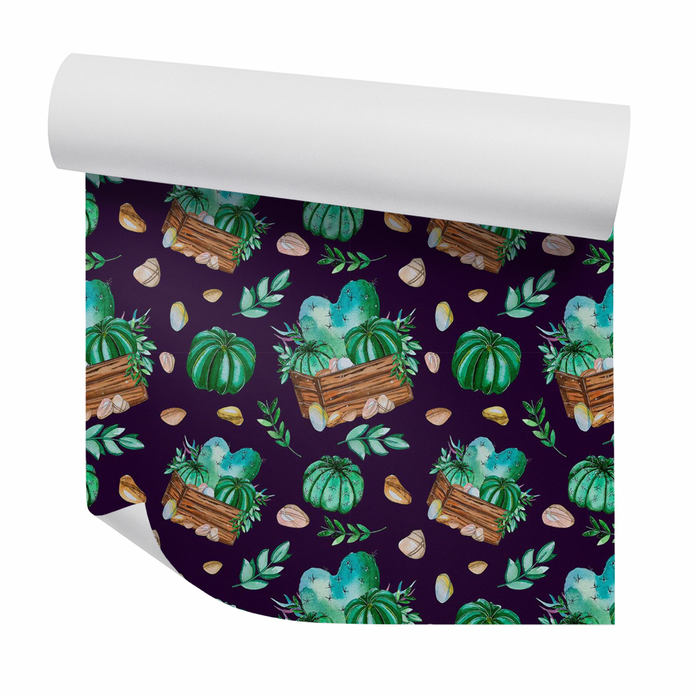 Öntapadós tapéta falra Kaktusz sötét fa edényben