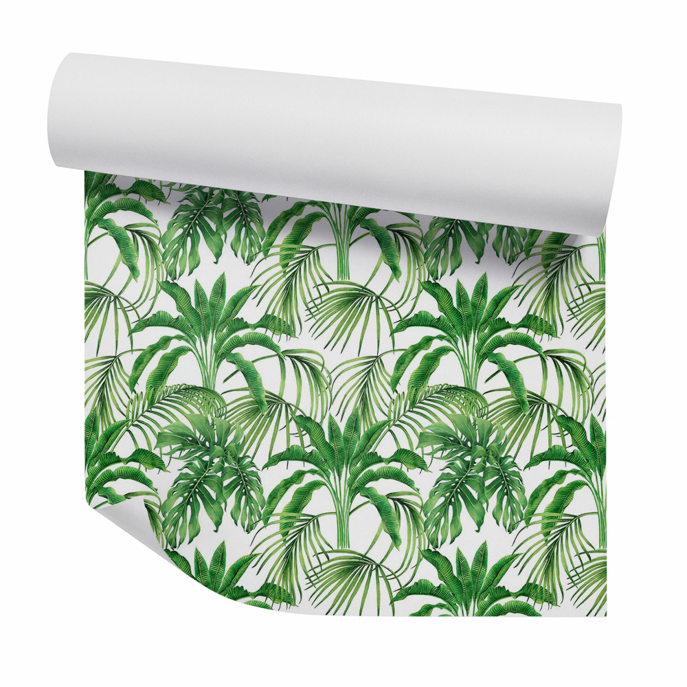 Zidna tapeta Egzotikus páfránynövények