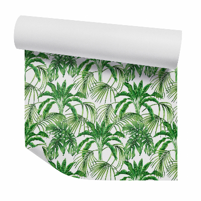 Zidna tapeta Egzotikus páfránynövények