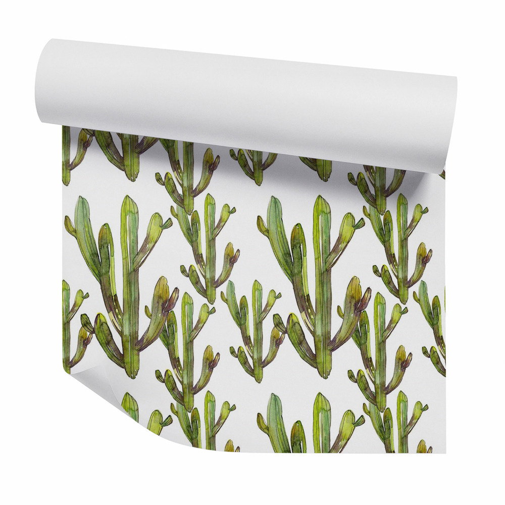 Zidna tapeta Fehér alapon rajzolt kaktuszok