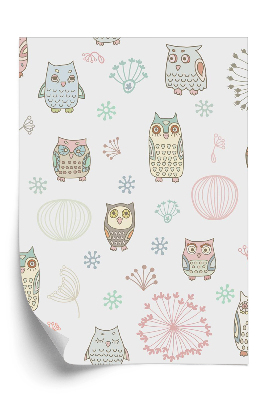 Öntapadós tapéta Színes baglyok