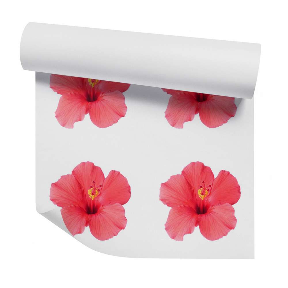 Dekor tapéta Rózsaszín jamaica virág