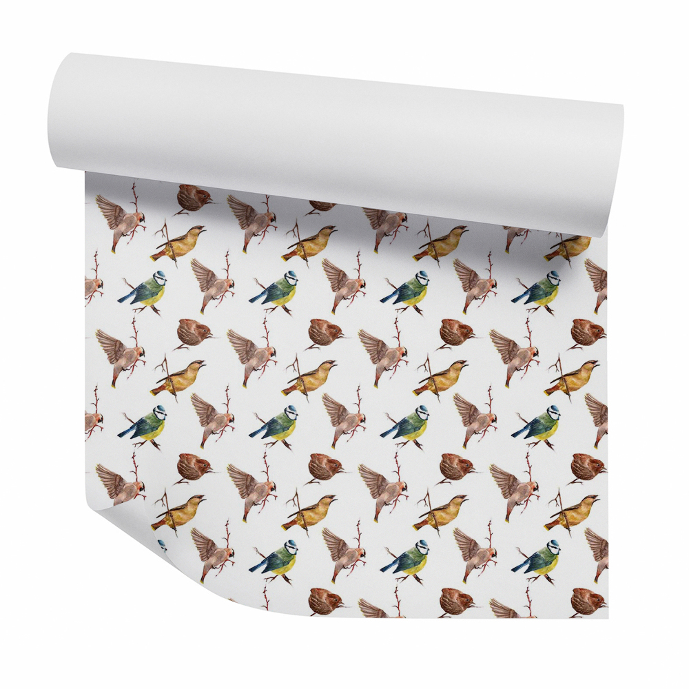 Dekor tapéta Veréb és más madarak