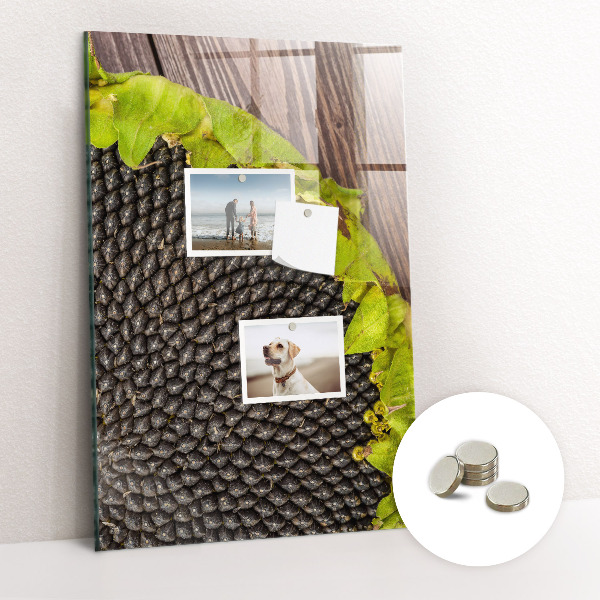 Fali mágneses tábla Napraforgómag