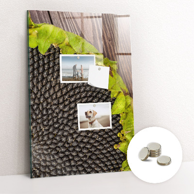 Fali mágneses tábla Napraforgómag