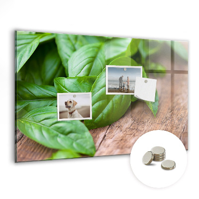 Fali üzenőtábla Bazsalikom