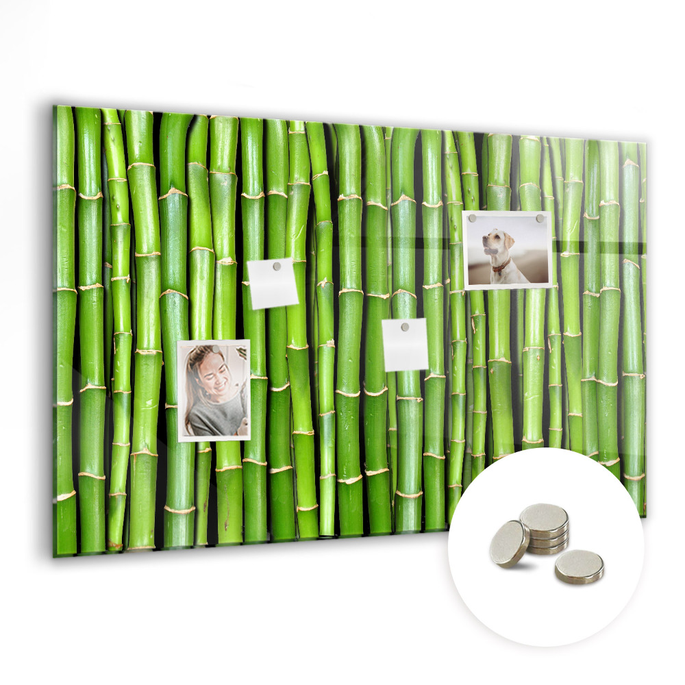 Mágneses falitábla Zöld bambuszrügyek