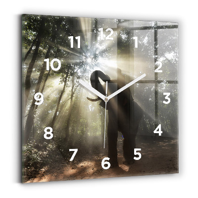 Szögletes üvegóra 30x30 Elefánt a dzsungelben