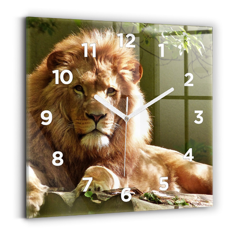 Szögletes fali üvegóra 30x30 Egy oroszlán portréja