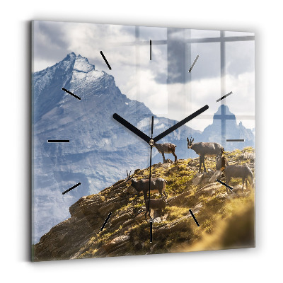 Szögletes üvegóra 30x30 Kecske az Aosta-völgyben