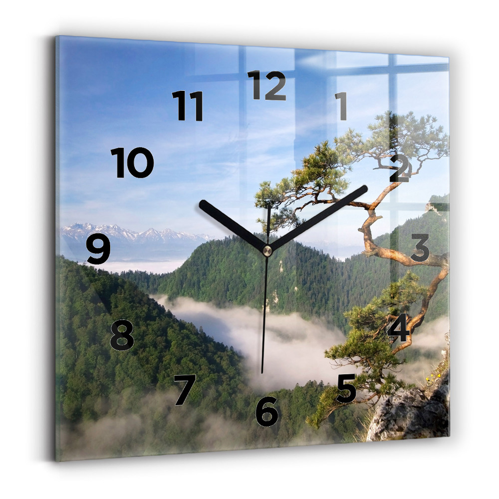 Szögletes fali üvegóra 30x30 Sokolica Wierch a Pieniny-hegységben