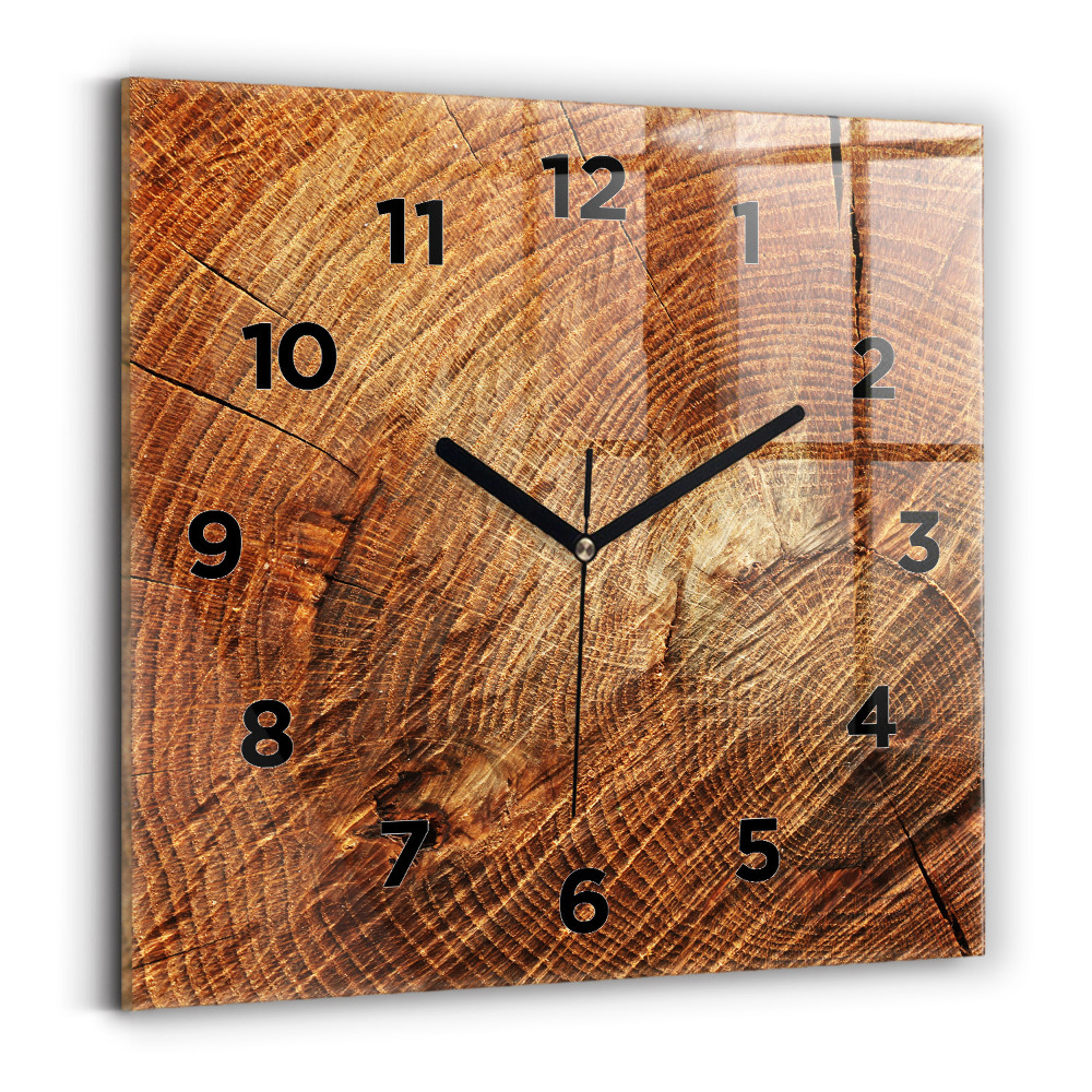 Négyzetes üvegóra 30x30 Öreg fatörzs