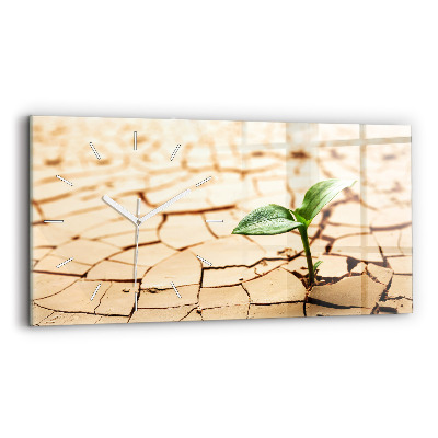 Vízszintes üvegóra 60x30 Száraz talajba ültessük