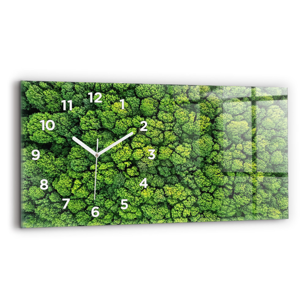 Üvegóra vízszintesen 60x30 Erdő madártávlatból