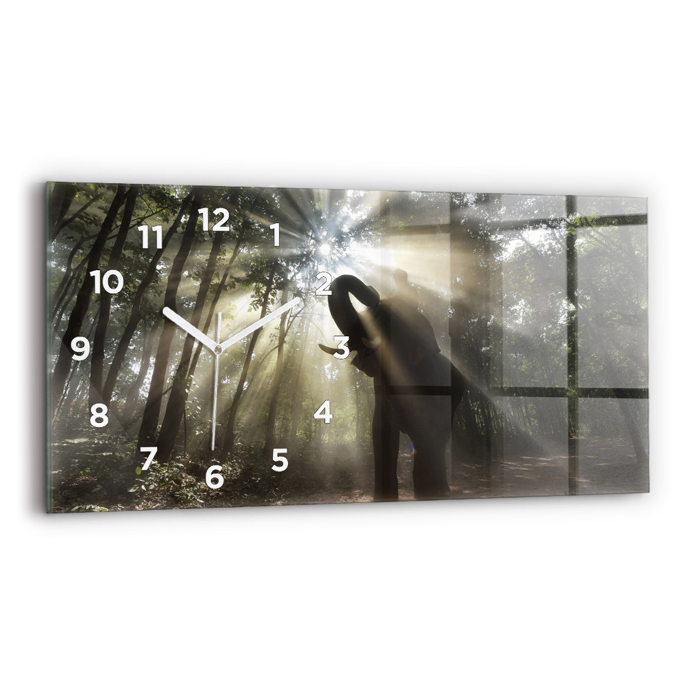 Vízszintes üvegóra 60x30 Elefánt a dzsungelben