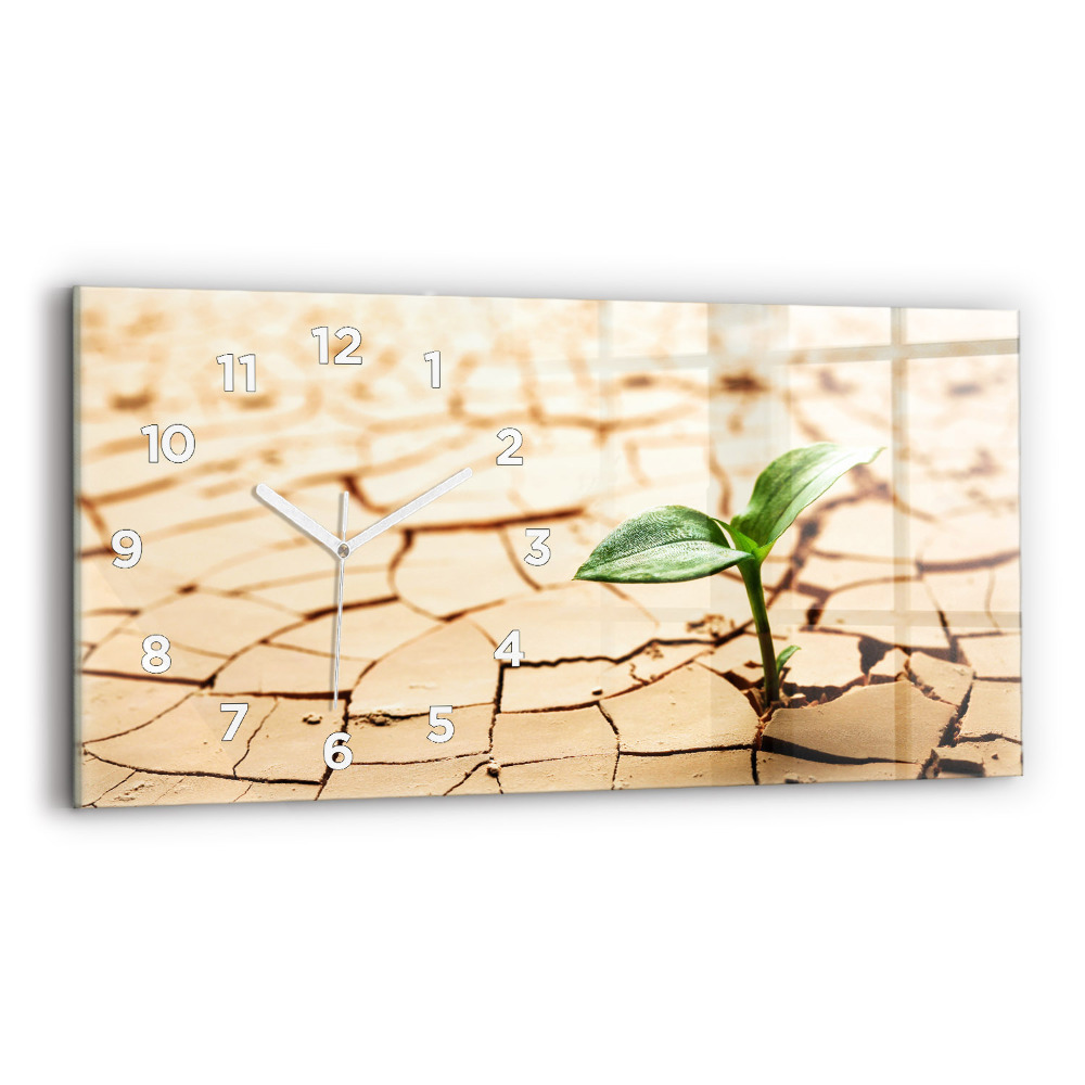 Négyszögletes üvegóra vízszintesen 60x30 Növény szárított talajban