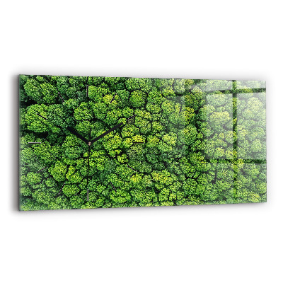 Üvegóra vízszintesen 60x30 Erdő madártávlatból