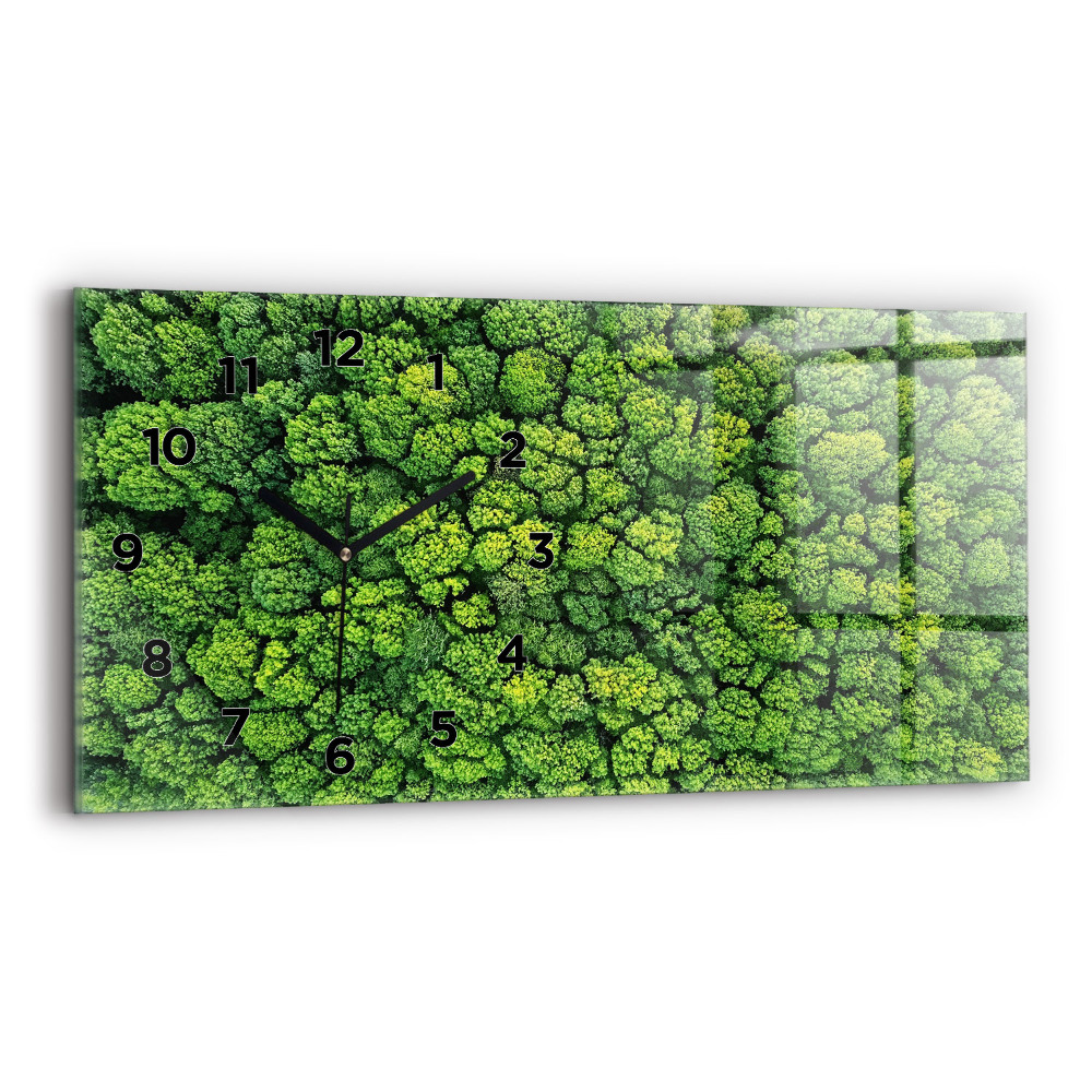 Üvegóra vízszintesen 60x30 Erdő madártávlatból