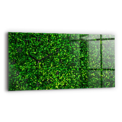 Üvegóra vízszintesen 60x30 Sövény levelek