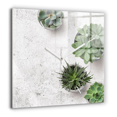 Szögletes üvegóra 60x60 Dekoratív növények