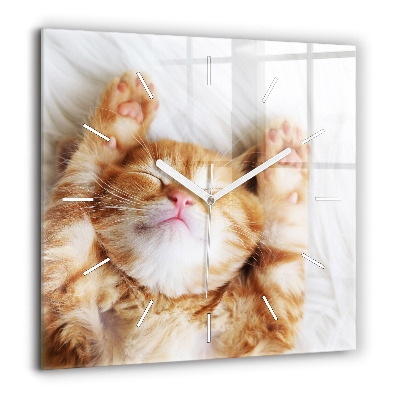 Szögletes fali üvegóra 60x60 Alvó kismacska